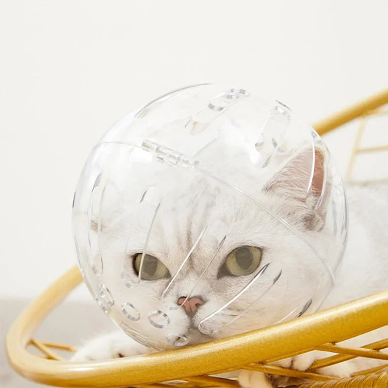 Cat head protection ball, swimming helmet