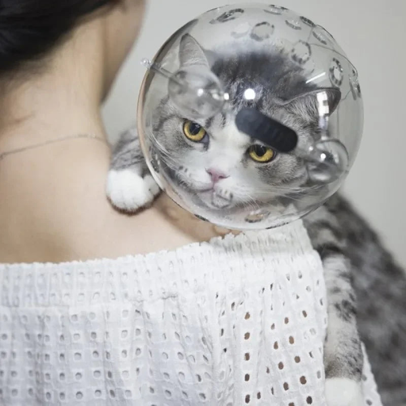 Cat head protection ball Grooming breathable swimming helmet