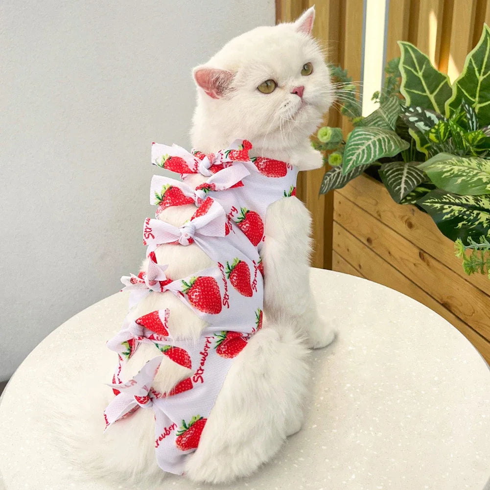 Cat Recovery Suit Breathable Surgery
