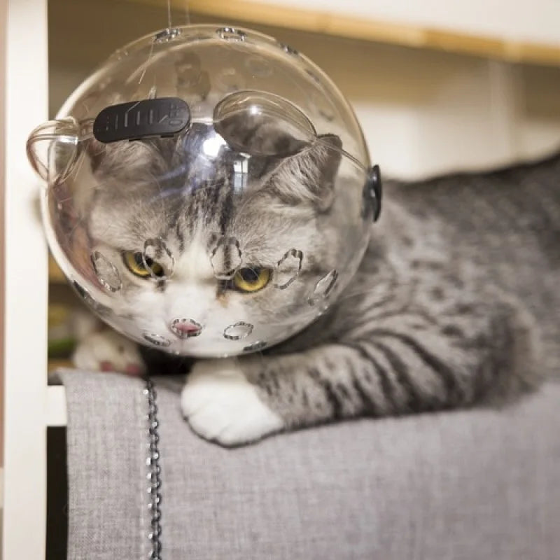 Cat head protection ball Grooming breathable swimming helmet