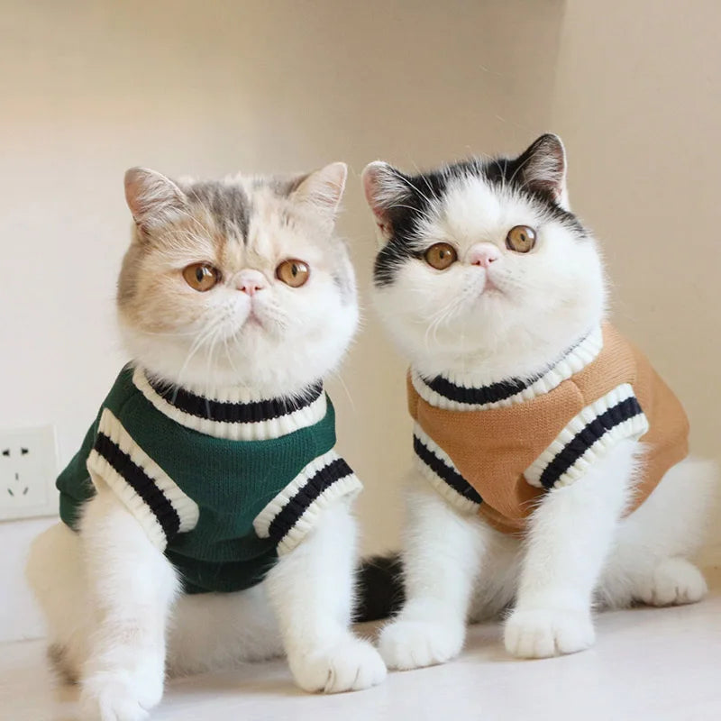 Sweater Pullover Winter Pet Clothes