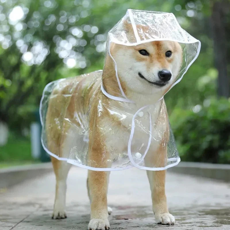 Pet Transparent Raincoat Hooded Waterproof Jacket