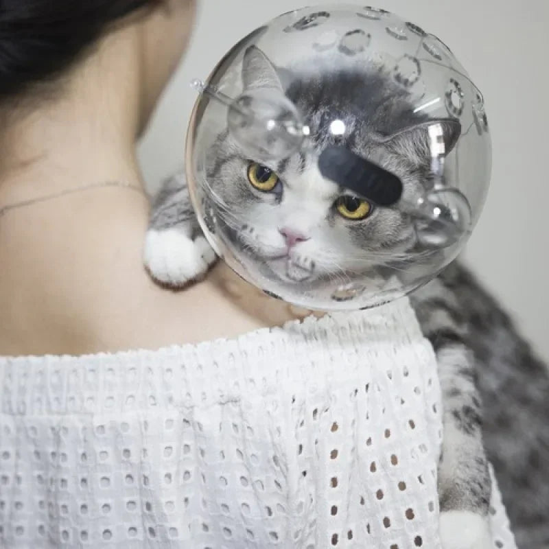 Cat head protection ball, swimming helmet