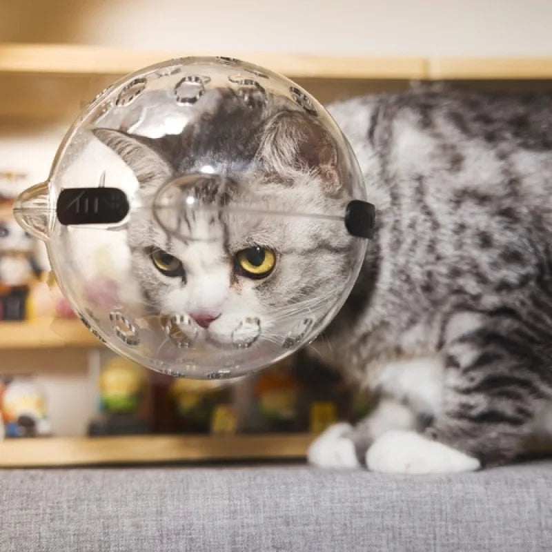 Cat head protection ball Grooming breathable swimming helmet