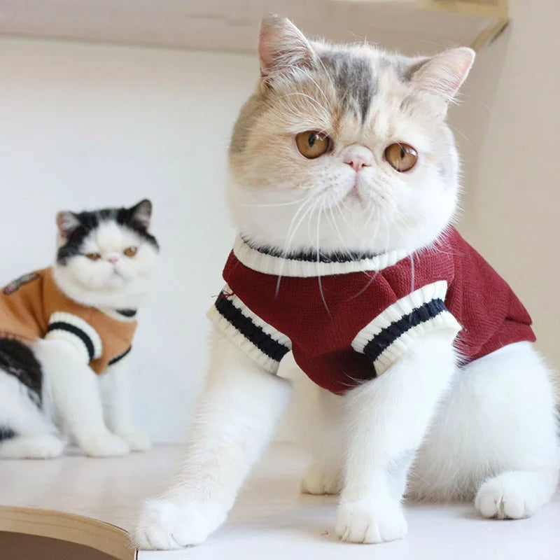 Sweater Pullover Winter Pet Clothes