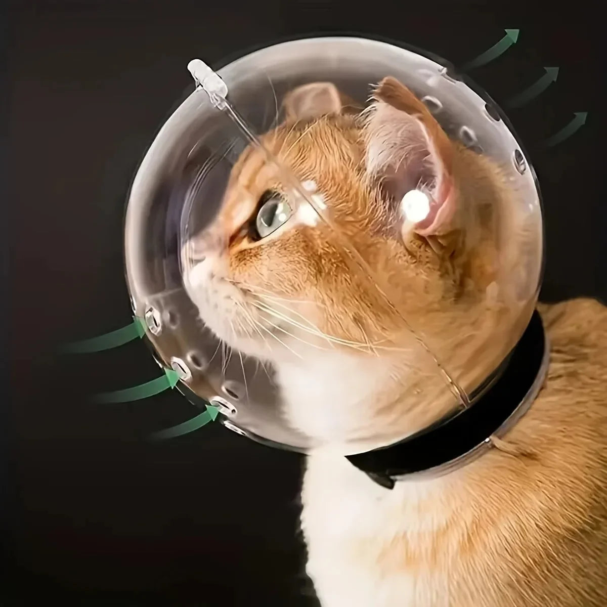 Cat head protection ball, swimming helmet