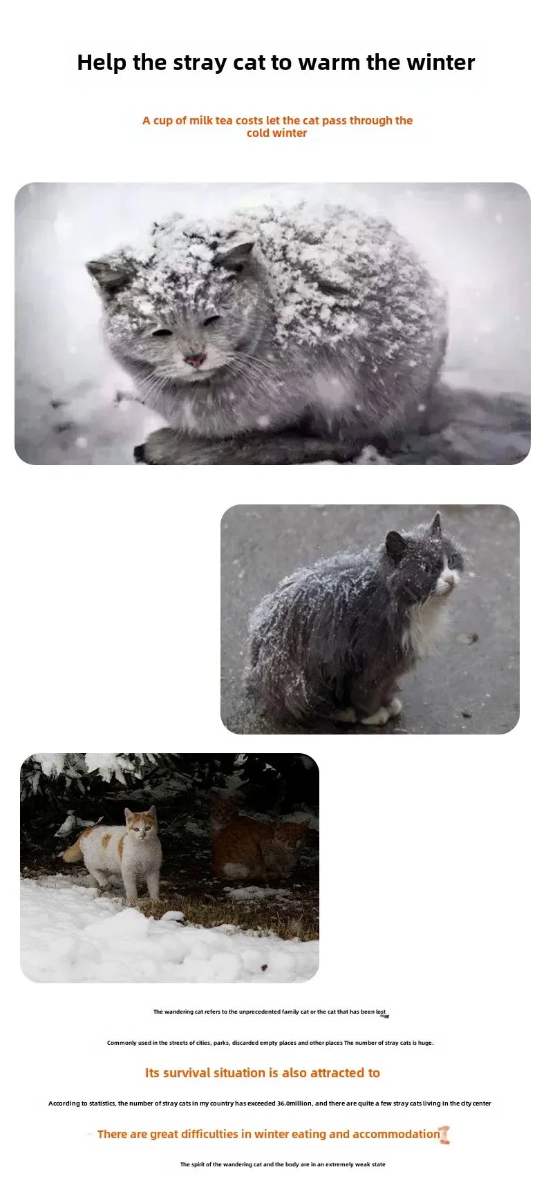 Stray Pet House Waterproof Sleeping Bed