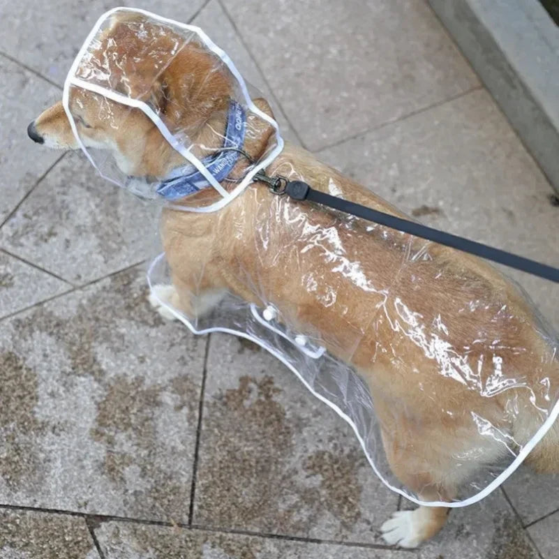 Pet Transparent Raincoat Hooded Waterproof Jacket