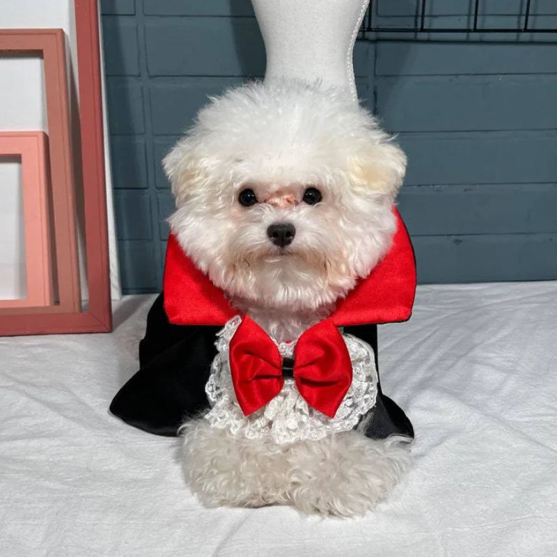 Halloween Vampire Cape for Pet