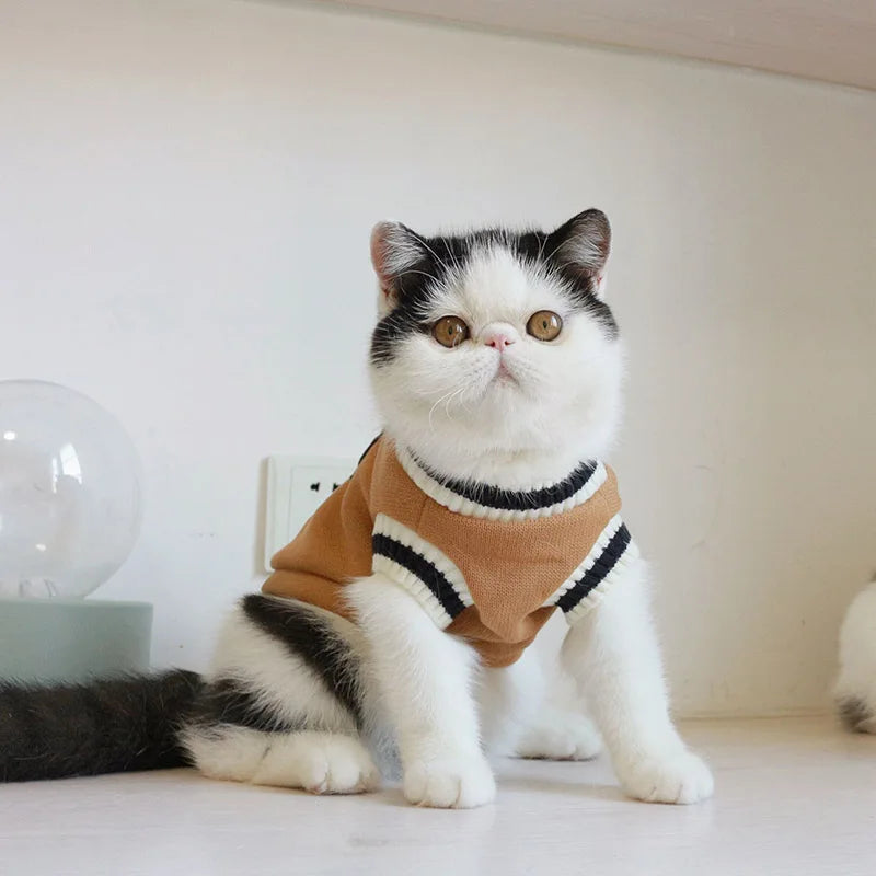 Sweater Pullover Winter Pet Clothes