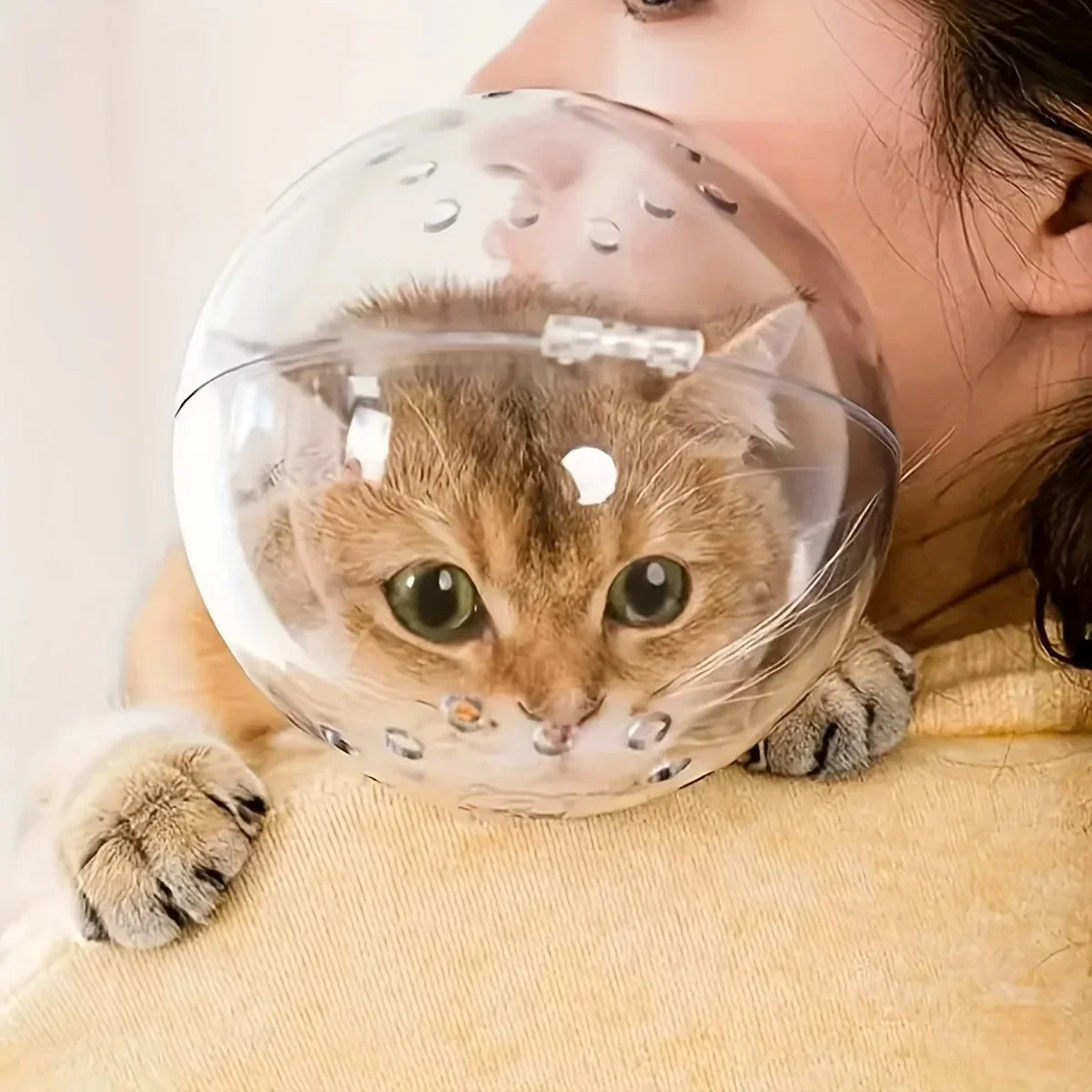 Cat head protection ball, swimming helmet