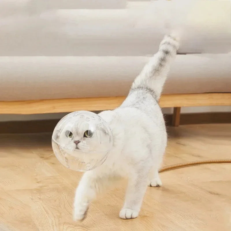 Cat head protection ball, swimming helmet
