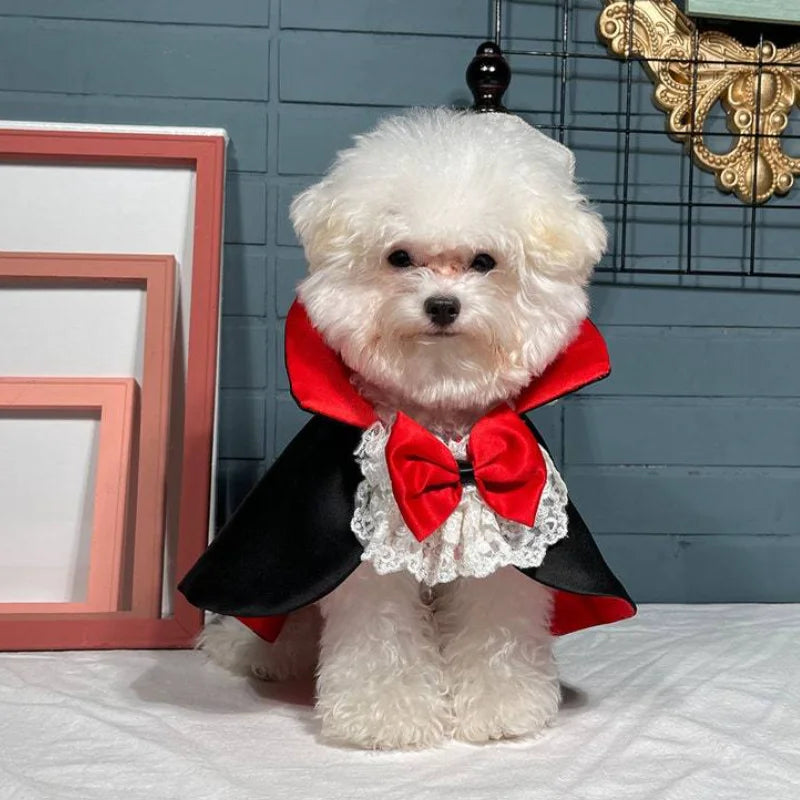 Halloween Vampire Cape for Pet