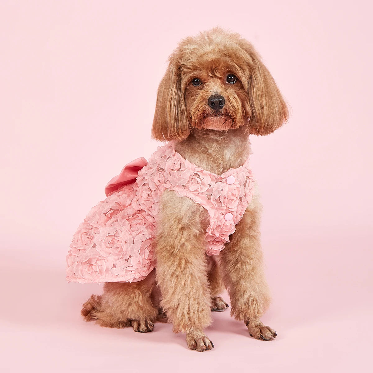 Embroidered Flower Pet Pink Bowknot Princess Clothes